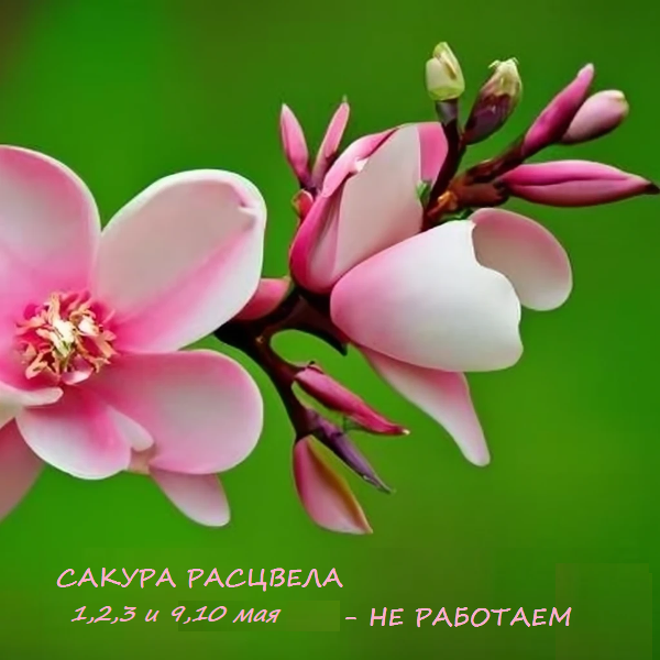 1,2,3 � 9,10 ��� �� ��������